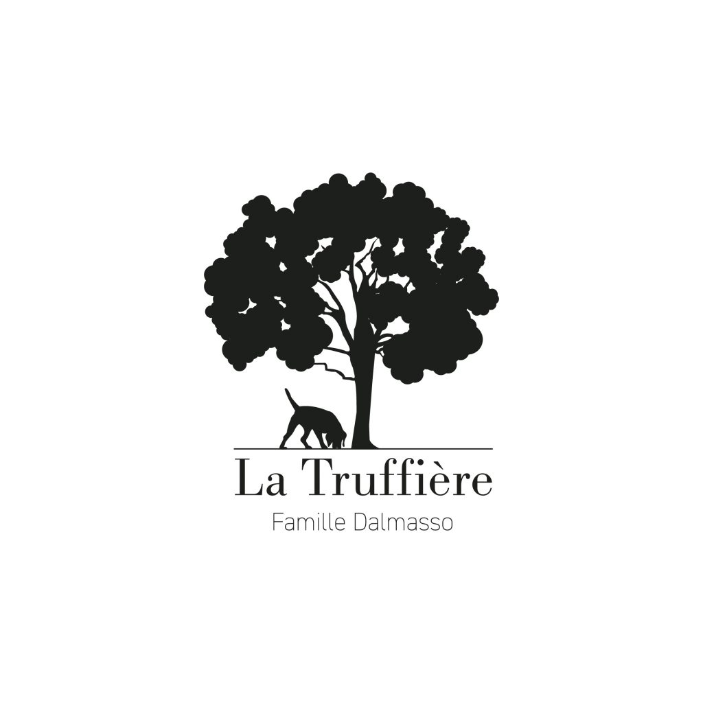 Sans titre 1 plan de travail 1