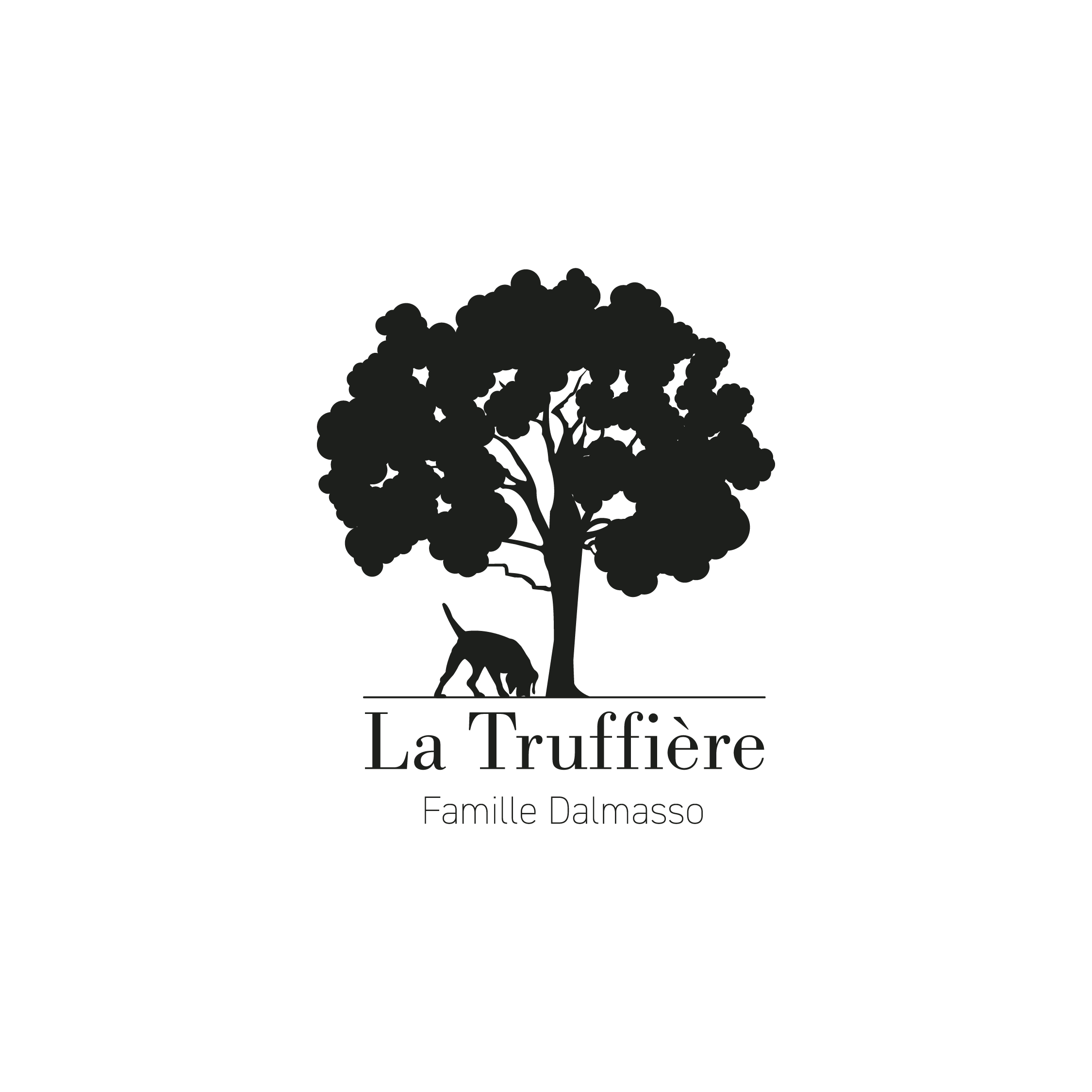 Sans titre 1 plan de travail 1